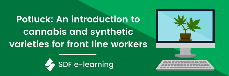 Potluck - An introduction to cannabis and synthetic varieties for front line workers